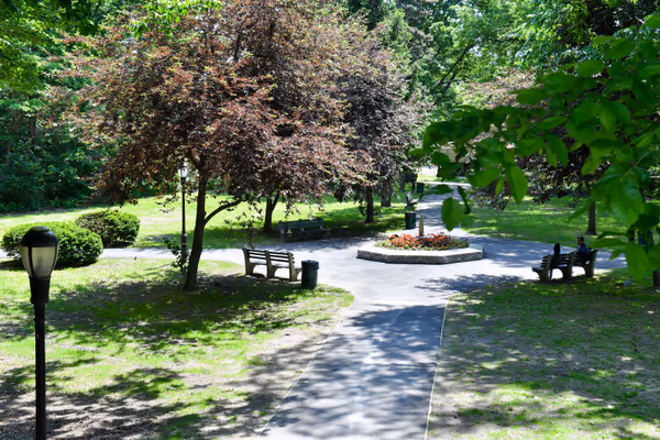 Dog Park at Forest Park photo 1